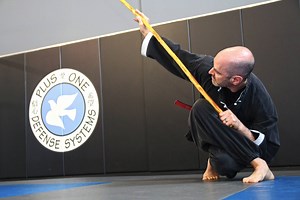 Kung Fu Classes West Hartford, CT • Plus One Defense Systems