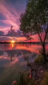 533K views · 10K reactions | 푷풓풐풄풐풍 푯풂풓풖풎_ 푨 푾풉풊풕풆풓 푺풉풂풅풆 푶풇 푷풂풍풆 | Angel Angel | Facebook