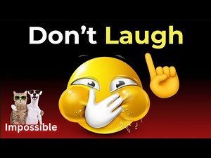 Try Not to Laugh Challenge 😂 (IMPOSSIBLE) Funniest Cats and Dogs EVER Caught 😹🐶