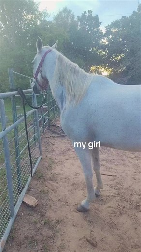 Keysha (@softgirlkeysha)’s videos with Ms. Pretty Thang - Chris Ardoin & Nustep Zydeko