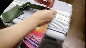 Carnival Cruise Luggage Tags for Carnival Cruise Ship 2024 with 10 Beach View Insert Cards Plastic Luggage Tags Holders Prevent Loss Waterproof Zip Seal Cruise Essentials Fit All Cruise Ship 10Pcs