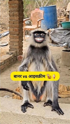 बंदर vs आइसक्रीम 🍦😂 #funny #thetharpuns #comedy #shilpisaroja
