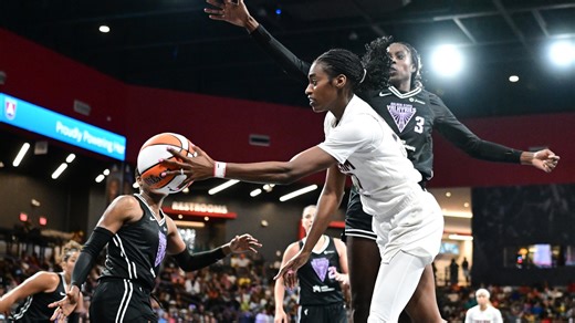 Bizarre scenes as WNBA game abruptly stopped after sex toy thrown on court