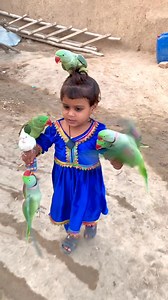 Colourful Cute Baby Parrot #cutebaby #parrot #pets #animals | Green Parrots Tv One