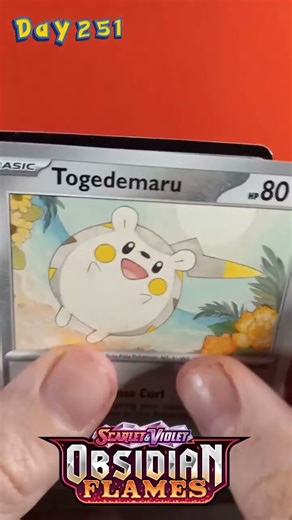 Day 251: Houndoom ex knows how to bring the Doom. #pokemon #pokemoncards #pokemontcg