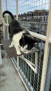 What is Happening over there? By Fonzie