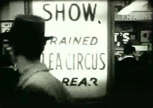 【讲座】保罗·休伊特之概念物理 Paul Hewitt-Conceptual Physics Alive! 32集【英语】