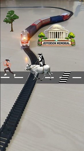 Cow 🐄 🐮 | Cow Crossing the road | Penguin is riding Cow near Jefferson Memorial | Cow Cartoon Video