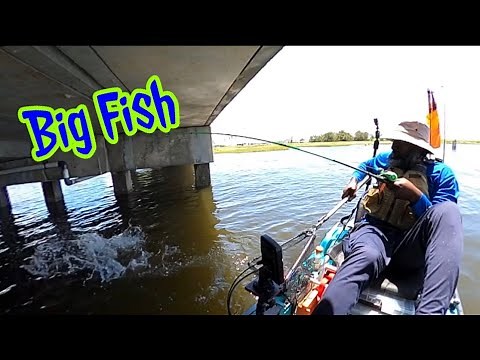 “Galveston West Bay” Fishing for Drag pulling, Braid braking Saltwater Game Fish
