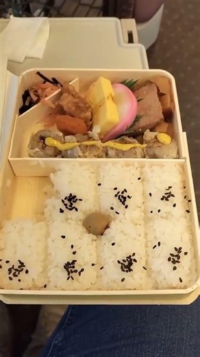 🌄Kiyoken's Shumai Bento 🍱①崎陽軒のシュウマイ弁当🍱① #train #travel #vlog #yokohama #shinkansen #japanesefood