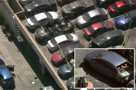 Scorched body found in separate LA tow yard day after decomposing corpse discovered inside singer D4vd’s Tesla in impound lot: report