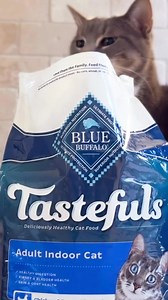 29 reactions | Make the switch to the delicious, natural ingredients your cats will love! | Blue Buffalo | Facebook