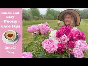 Quick and Easy Peony Care Tips - Live with Kelly