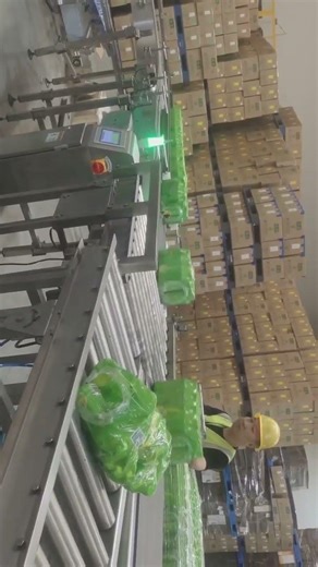 Checkweigher Working Video | Online Weight Inspection Machine #checkweigher #industrialweighing