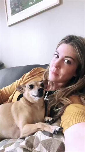 Fun Heated Debate with a Talking Dog