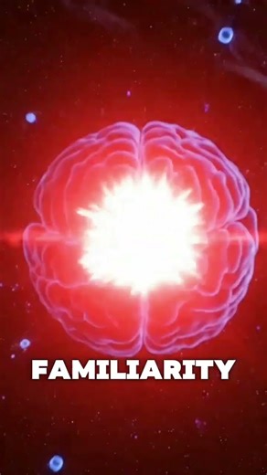 The Brain Science of Attachment and Letting Go