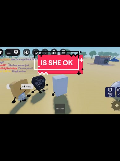 Is Remote OK? Exploring Roblox BFB and BFDi Characters