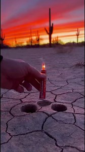 This is the moment a simple desert experiment turned into pure chaos. A man drops a firework into a hole in the cracked earth — maybe to see if it’ll pop or fizzle. Instead, he gets a snake apocalypse. Within seconds, dozens of snakes burst from the ground, writhing and twisting across the desert floor as the sun sets behind the saguaros. If you’ve ever thought the desert was quiet and empty… think again. Mother Nature doesn’t play by your rules. | FrenchieLyfe