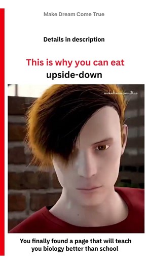 This is why you can eat 🥣 upside-down 🔄 | MDCT