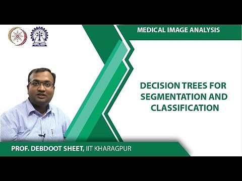 Decision Trees for Segmentation and Classification
