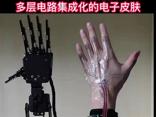 南方科技大学Science Advanced