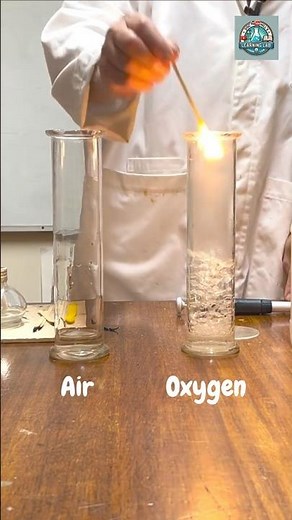 Demo: Test for carbon dioxide & oxygen with a splint
