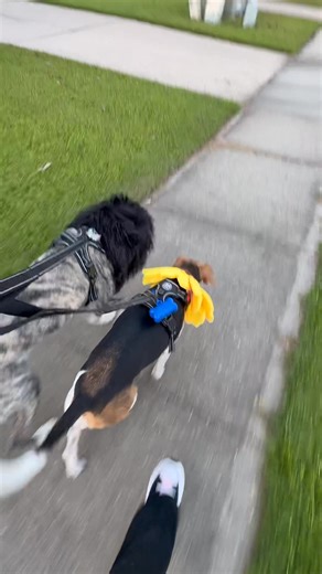 Cindy Allen on Reels