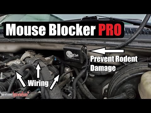 Prevent Mouse/ Rodent Damage to car wiring (Mouse Blocker Pro) | AnthonyJ350