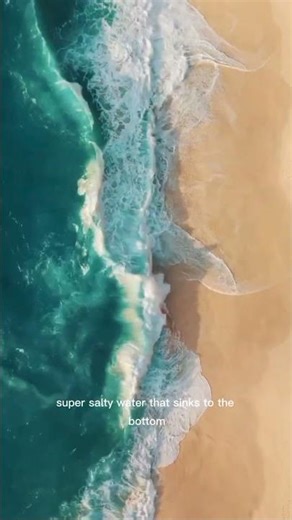 5 Shocking Facts About Ocean 🌊 #youtubeshorts #shorts #ocean #facts
