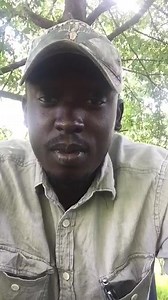 15K views · 168 reactions | #NATIONAL UPDATE : A Youth Leader, also a Member of the RED CARD MOVEMENT also known as the RCM which has received international Attention Encourages the National Army to protect the people from President Salva Kiir private Army as the Youth Plan peaceful Demonstrations all across South Sudan on May 16, 2019. #KedeWagaBes Translation: Just Fall | Sixty 4 Tribes Press | Facebook