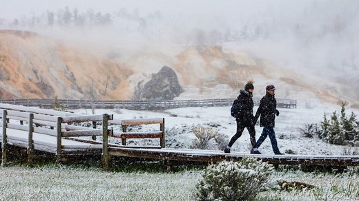 Springtime in Yellowstone