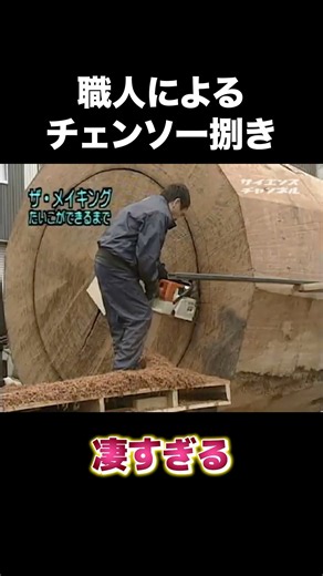 [Amazing Skill] With just one chainsaw?! A craftsman's chainsaw mastery.