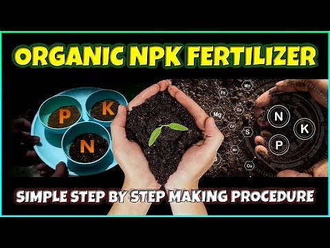 How to make Organic NPK Fertilizer at Home
