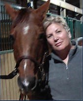 What Exactly is a Warmblood?