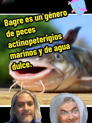 Descubre el Mundo del Bagre: Peces de Agua Dulce y Salada