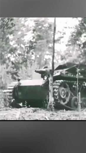 The best tank deatroyer in WW2 #history #darkhistory #ww2