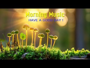 GOOD MORNING MUSIC - Wake Up With Hope And Happin - Calm Morning Meditation Music For Relaxation