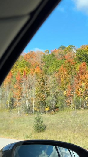 Fall roadtrips in the all new Volvo XC60 Plug-In Hybrid 😌🍂 #fall #roadtrip #aesthetic #couple | Volvo Car Canada