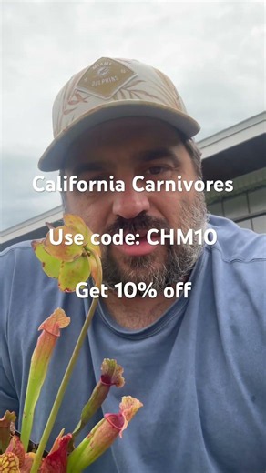 Carnivorous plants at a discount