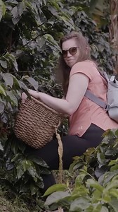 Coffee-lovers, this one is for you. Take a convoy of classic Jeep...