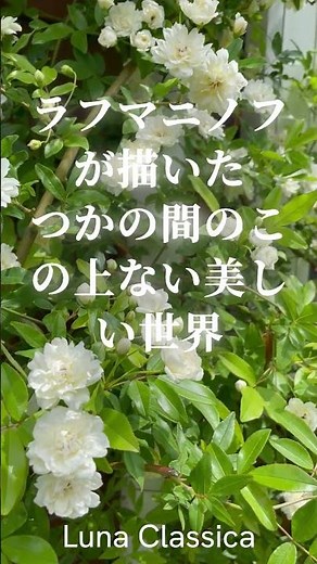 ラフマニノフ・パガニーニの主題による狂詩曲より18変奏曲 by Luna Classica #ピアノ #piano #バイオリン #violin ＃ラフマニノフ＃パガニーニ#クラシック