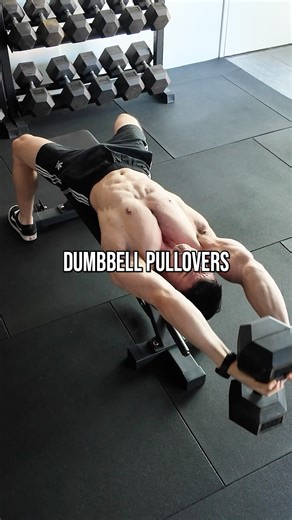 FitnessFAQs on Instagram: "Why Dumbbell Pullovers are so damn effective"