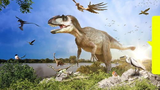 Aufstieg der Vögel