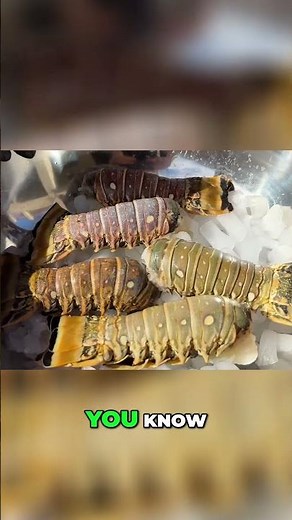 Grilled Lobster Tail Recipe: Secret Technique for Butter Sauce!