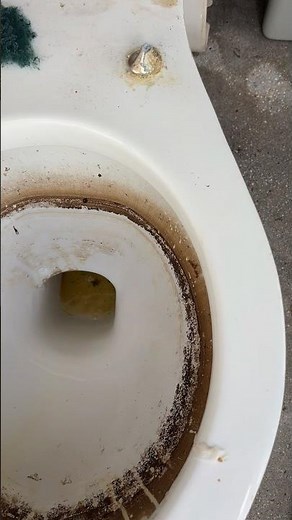 Cleaning a disgusting toilet with muriatic acid!