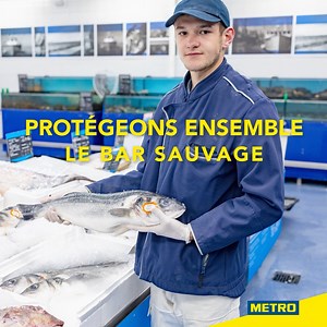 🐟 METRO S'ENGAGE À PRÉSERVER LA BIODIVERSITÉ... ...en ne commercialisant plus de bar pêché au chalut pélagique pendant sa période de reproduction 🛥 | METRO France