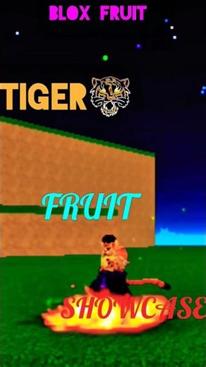TIGER 🐯 FRUIT SHOWCASE 🔥