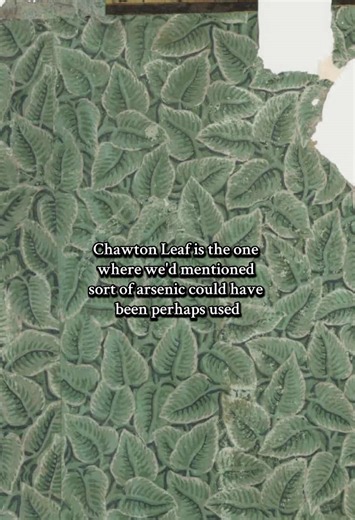 One for all the Jane Austen fans! (me included 🤩) Since the 1980s, the renowned wallpaper company Hamilton Weston has recreated and curated a collection of heritage designs from wallpaper fragments from historic buildings, including Jane Austen’s house. Their designs have appeared in films and TV productions, including Bridgerton, Emma, The Gilded Age, and more. Today, I’m speaking with Georgina Hamilton, who founded the company alongside her late husband, Robert Weston. Full episode now live o