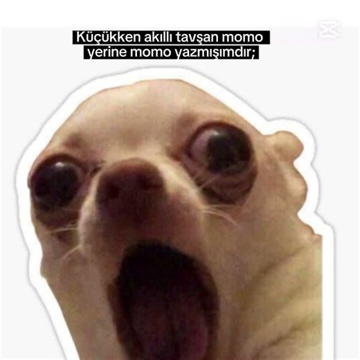 Bismillahirrahmanirrahimmmm
