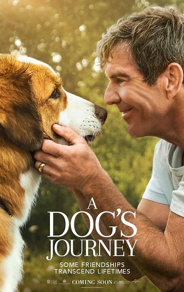 A Dog's Journey (2019) ⭐ 7.5 | Adventure, Comedy, Drama